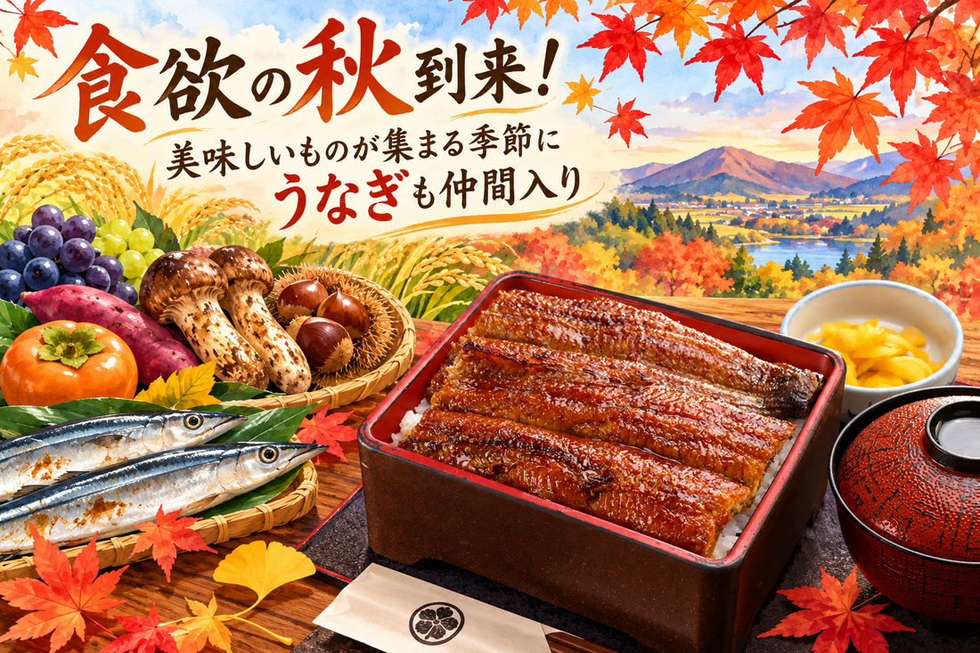 食欲の秋到来！美味しいものが集まる季節にうなぎも仲間入り