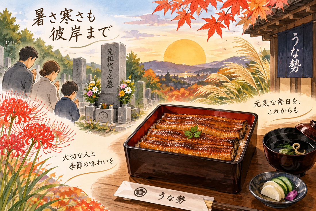 秋分・お彼岸、季節の変わり目の体調管理とうなぎ