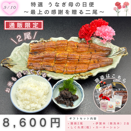 特選 うなぎ母の日便 ～最上の感謝を送る二尾～